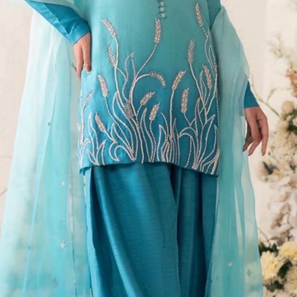 Pakistani Indian Desi Outfit
